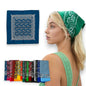 Paliacates surtidos en varios colores paquete de 12